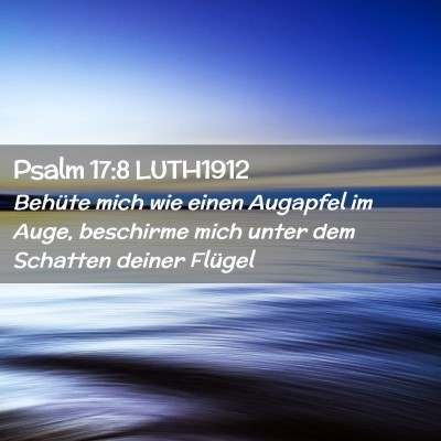 Picture 02 - Psalm 17:8 LUTH1912 - Behüte mich wie einen Augapfel im Auge, - Bible Verse Picture