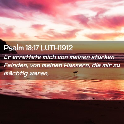 Picture 02 - Psalm 18:17 LUTH1912 - Er errettete mich von meinen starken Feinden, von - Bible Verse Picture