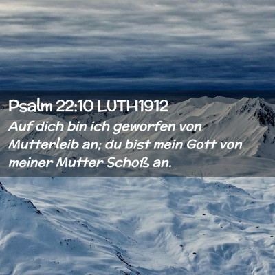 Picture 02 - Psalm 22:10 LUTH1912 - Auf dich bin ich geworfen von Mutterleib an; du - Bible Verse Picture
