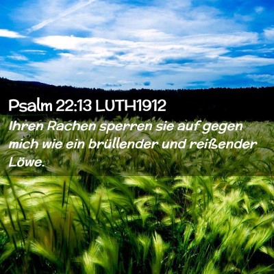 Picture 02 - Psalm 22:13 LUTH1912 - Ihren Rachen sperren sie auf gegen mich wie ein - Bible Verse Picture