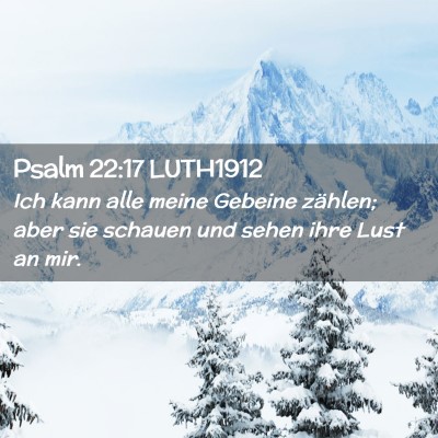 Picture 02 - Psalm 22:17 LUTH1912 - Ich kann alle meine Gebeine zählen; aber sie - Bible Verse Picture
