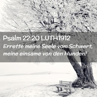 Picture 02 - Psalm 22:20 LUTH1912 - Errette meine Seele vom Schwert, meine einsame - Bible Verse Picture