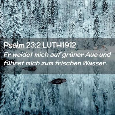 Picture 02 - Psalm 23:2 LUTH1912 - Er weidet mich auf grüner Aue und führet mich - Bible Verse Picture