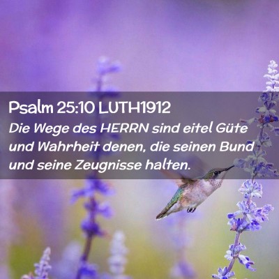 Picture 02 - Psalm 25:10 LUTH1912 - Die Wege des HERRN sind eitel Güte und Wahrheit - Bible Verse Picture