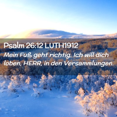 Picture 02 - Psalm 26:12 LUTH1912 - Mein Fuß geht richtig. Ich will dich loben, - Bible Verse Picture