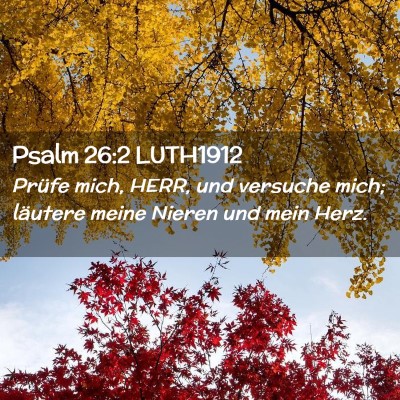 Picture 02 - Psalm 26:2 LUTH1912 - Prüfe mich, HERR, und versuche mich; läutere - Bible Verse Picture