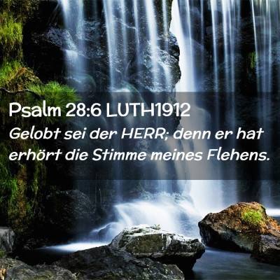 Picture 02 - Psalm 28:6 LUTH1912 - Gelobt sei der HERR; denn er hat erhört die - Bible Verse Picture