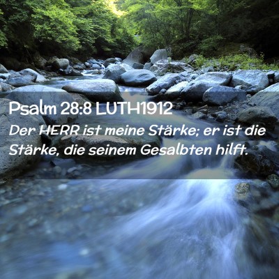 Picture 02 - Psalm 28:8 LUTH1912 - Der HERR ist meine Stärke; er ist die Stärke, - Bible Verse Picture