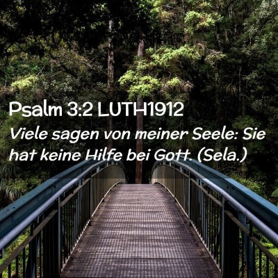 Picture 02 - Psalm 3:2 LUTH1912 - Viele sagen von meiner Seele: Sie hat keine Hilfe - Bible Verse Picture