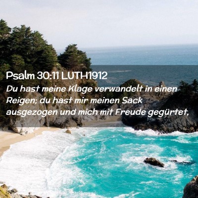 Picture 02 - Psalm 30:11 LUTH1912 - Du hast meine Klage verwandelt in einen Reigen; - Bible Verse Picture
