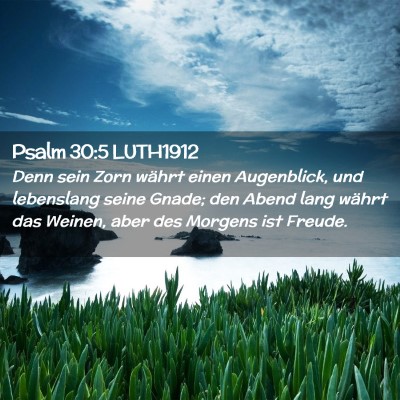 Picture 02 - Psalm 30:5 LUTH1912 - Denn sein Zorn währt einen Augenblick, und - Bible Verse Picture
