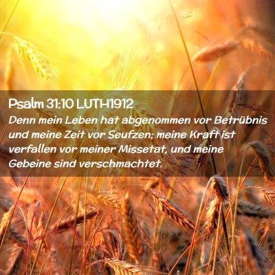 Picture 02 - Psalm 31:10 LUTH1912 - Denn mein Leben hat abgenommen vor Betrübnis und - Bible Verse Picture
