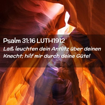Picture 02 - Psalm 31:16 LUTH1912 - Laß leuchten dein Antlitz über deinen Knecht; - Bible Verse Picture