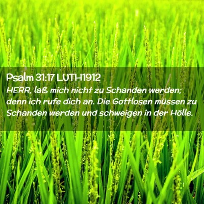 Picture 02 - Psalm 31:17 LUTH1912 - HERR, laß mich nicht zu Schanden werden; denn - Bible Verse Picture