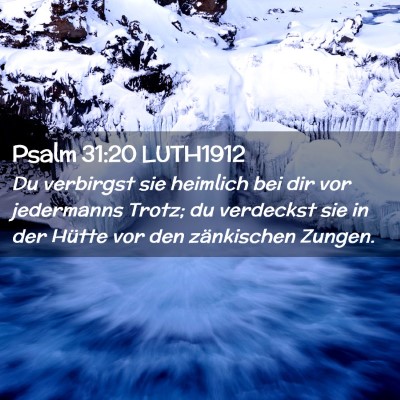 Picture 02 - Psalm 31:20 LUTH1912 - Du verbirgst sie heimlich bei dir vor jedermanns - Bible Verse Picture