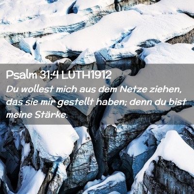 Picture 02 - Psalm 31:4 LUTH1912 - Du wollest mich aus dem Netze ziehen, das sie mir - Bible Verse Picture