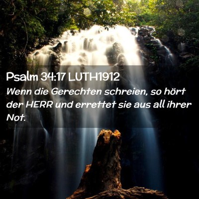 Picture 02 - Psalm 34:17 LUTH1912 - Wenn die Gerechten schreien, so hört der HERR - Bible Verse Picture