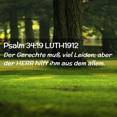 Picture 02 - Psalm 34:19 LUTH1912 - Der Gerechte muß viel Leiden; aber der HERR - Bible Verse Picture
