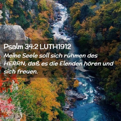 Picture 02 - Psalm 34:2 LUTH1912 - Meine Seele soll sich rühmen des HERRN, daß es - Bible Verse Picture