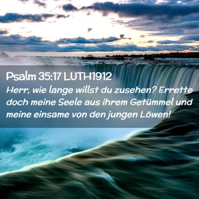 Picture 02 - Psalm 35:17 LUTH1912 - Herr, wie lange willst du zusehen? Errette doch - Bible Verse Picture