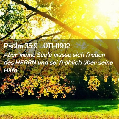 Picture 02 - Psalm 35:9 LUTH1912 - Aber meine Seele müsse sich freuen des HERRN und - Bible Verse Picture