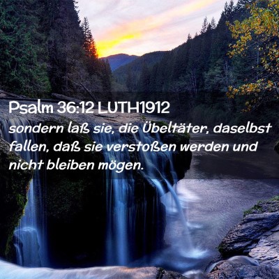 Picture 02 - Psalm 36:12 LUTH1912 - sondern laß sie, die Übeltäter, daselbst - Bible Verse Picture