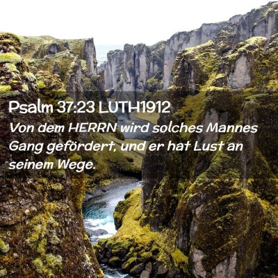 Picture 02 - Psalm 37:23 LUTH1912 - Von dem HERRN wird solches Mannes Gang - Bible Verse Picture