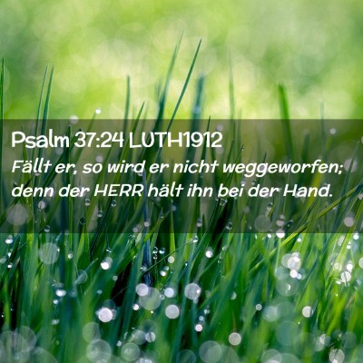 Picture 02 - Psalm 37:24 LUTH1912 - Fällt er, so wird er nicht weggeworfen; denn der - Bible Verse Picture