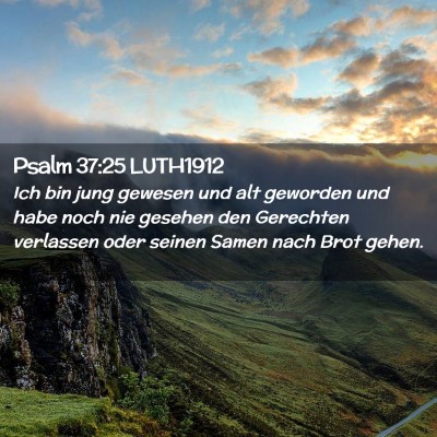 Picture 02 - Psalm 37:25 LUTH1912 - Ich bin jung gewesen und alt geworden und habe - Bible Verse Picture