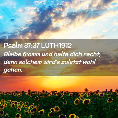 Picture 02 - Psalm 37:37 LUTH1912 - Bleibe fromm und halte dich recht; denn solchem - Bible Verse Picture