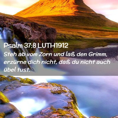 Picture 02 - Psalm 37:8 LUTH1912 - Steh ab vom Zorn und laß den Grimm, erzürne - Bible Verse Picture