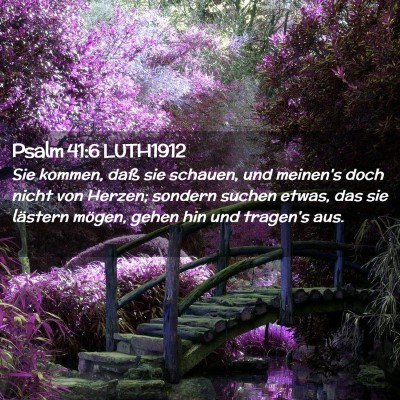 Picture 02 - Psalm 41:6 LUTH1912 - Sie kommen, daß sie schauen, und meinen's doch - Bible Verse Picture