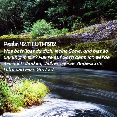 Picture 02 - Psalm 42:11 LUTH1912 - Was betrübst du dich, meine Seele, und bist so - Bible Verse Picture