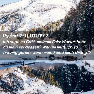 Picture 02 - Psalm 42:9 LUTH1912 - Ich sage zu Gott, meinem Fels: Warum hast du mein - Bible Verse Picture