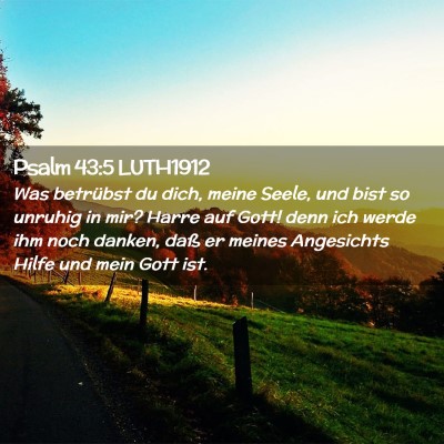 Picture 02 - Psalm 43:5 LUTH1912 - Was betrübst du dich, meine Seele, und bist so - Bible Verse Picture