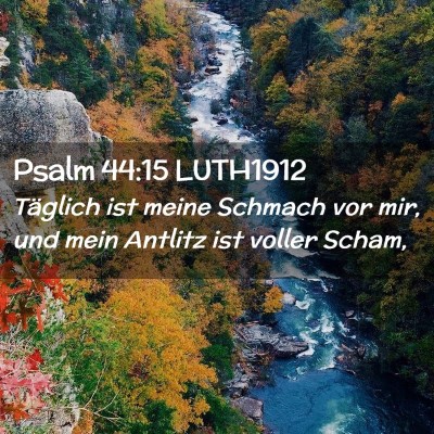Picture 02 - Psalm 44:15 LUTH1912 - Täglich ist meine Schmach vor mir, und mein - Bible Verse Picture