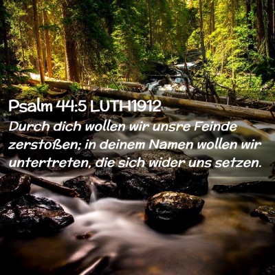 Picture 02 - Psalm 44:5 LUTH1912 - Durch dich wollen wir unsre Feinde zerstoßen; in - Bible Verse Picture