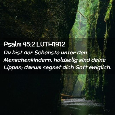 Picture 02 - Psalm 45:2 LUTH1912 - Du bist der Schönste unter den Menschenkindern, - Bible Verse Picture