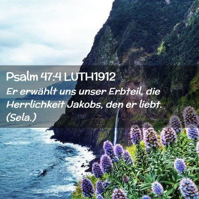 Picture 02 - Psalm 47:4 LUTH1912 - Er erwählt uns unser Erbteil, die Herrlichkeit - Bible Verse Picture