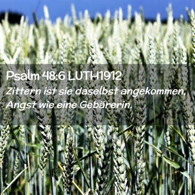 Picture 02 - Psalm 48:6 LUTH1912 - Zittern ist sie daselbst angekommen, Angst wie - Bible Verse Picture