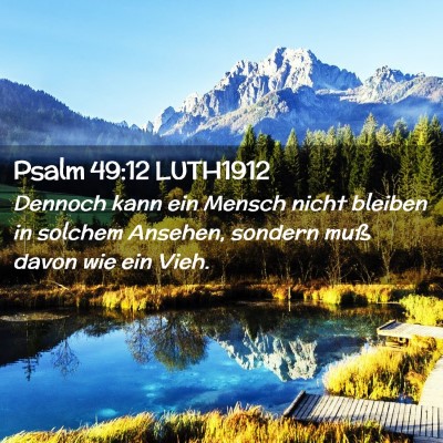 Picture 02 - Psalm 49:12 LUTH1912 - Dennoch kann ein Mensch nicht bleiben in solchem - Bible Verse Picture
