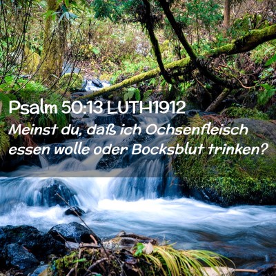 Picture 02 - Psalm 50:13 LUTH1912 - Meinst du, daß ich Ochsenfleisch essen wolle - Bible Verse Picture