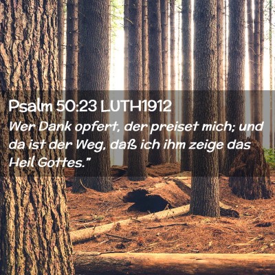 Picture 02 - Psalm 50:23 LUTH1912 - Wer Dank opfert, der preiset mich; und da ist der - Bible Verse Picture