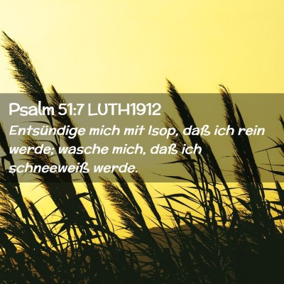 Picture 02 - Psalm 51:7 LUTH1912 - Entsündige mich mit Isop, daß ich rein werde; - Bible Verse Picture
