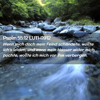 Picture 02 - Psalm 55:12 LUTH1912 - Wenn mich doch mein Feind schändete, wollte - Bible Verse Picture