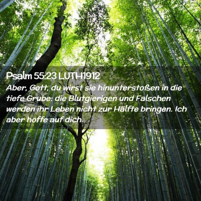 Picture 02 - Psalm 55:23 LUTH1912 - Aber, Gott, du wirst sie hinunterstoßen in die - Bible Verse Picture