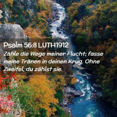 Picture 02 - Psalm 56:8 LUTH1912 - Zähle die Wege meiner Flucht; fasse meine - Bible Verse Picture