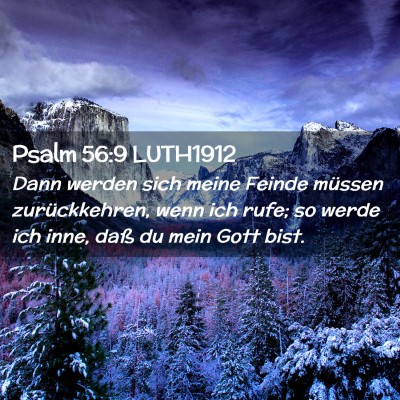 Picture 02 - Psalm 56:9 LUTH1912 - Dann werden sich meine Feinde müssen - Bible Verse Picture