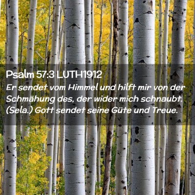 Picture 02 - Psalm 57:3 LUTH1912 - Er sendet vom Himmel und hilft mir von der - Bible Verse Picture