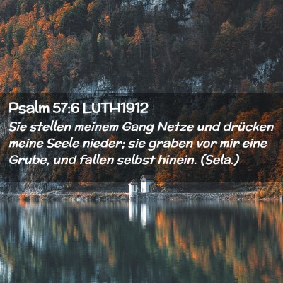 Picture 02 - Psalm 57:6 LUTH1912 - Sie stellen meinem Gang Netze und drücken meine - Bible Verse Picture